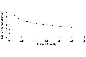 Hepcidin ELISA Kit