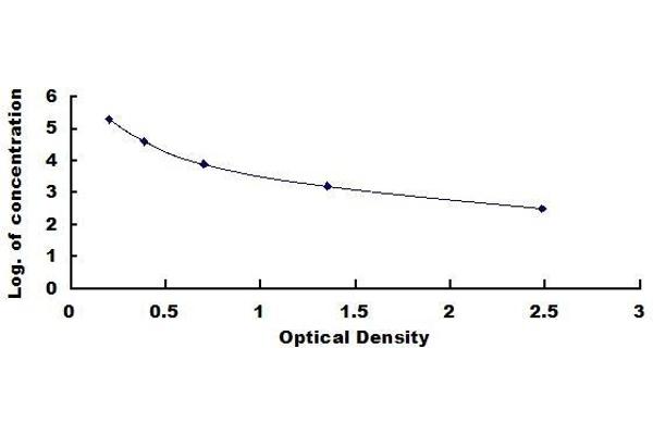 Hepcidin ELISA Kit