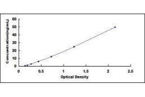 ELISA image for C-Reactive Protein (CRP) ELISA Kit (ABIN416143)