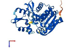 AlphaFold protein structure predicition of Human Recombinant SERHL2 Protein, UniprotID Q9H4I8