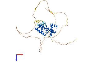 POU3F4 Protein (AA 1-361) (His tag)
