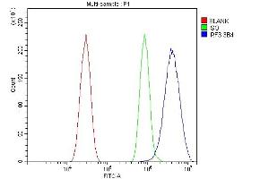Flow Cytometry analysis of HEPA1-6 cells using anti-IRF3 antibody (ABIN7599371).