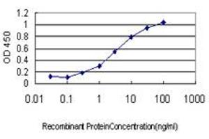 Detection limit for recombinant GST tagged DNAJB2 is approximately 0.