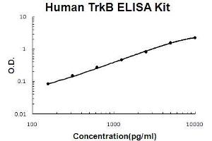 Human TrkB PicoKine ELISA Kit standard curve (TRKB ELISA Kit)