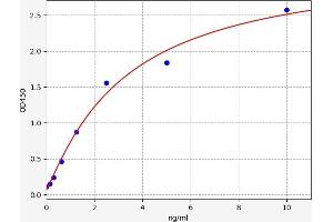 Typical standard curve (SNRPB ELISA Kit)