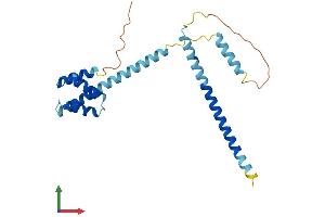 Protein Structure (PS) image for Coiled-Coil Domain Containing 43 (CCDC43) (AA 1-222) protein (His tag) (ABIN7560604)