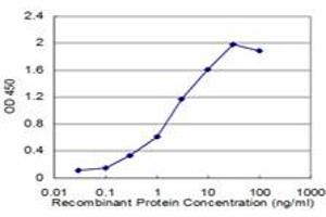 Detection limit for recombinant GST tagged RAB27A is approximately 0. (RAB27A Antikörper  (AA 122-221))