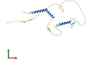 Protein Structure (PS) image for Regulatory Factor X-Associated Protein (RFXAP) (AA 1-231) protein (His tag) (ABIN7559817)