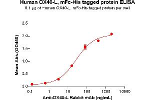 TNFSF4 Protein (mFc-His Tag)