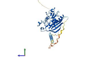 Protein Structure (PS) image for Xylosylprotein beta 1,4-Galactosyltransferase, Polypeptide 7 (Galactosyltransferase I) (B4GALT7) (AA 1-327) protein (His tag) (ABIN7559622)