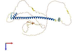 CREB3L4 Protein (AA 1-395) (His tag)
