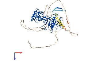 MTF2 Protein (AA 1-593) (His tag)