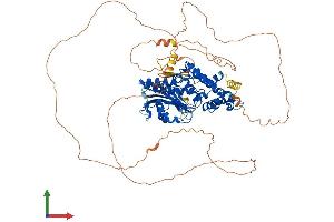 Protein Structure (PS) image for DENN/MADD Domain Containing 1C (DENND1C) (AA 1-801) protein (His tag) (ABIN7553634)