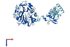 RCBTB2 Protein (AA 1-551) (His tag)
