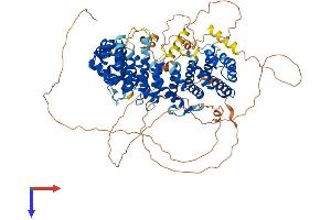 SAPS1 Protein (AA 1-856) (His tag)