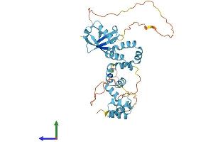 Protein Structure (PS) image for RAD23 Homolog A (RAD23A) (AA 1-363) protein (His tag) (ABIN7563448)