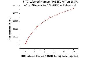 Immobilized Human MICA, Fc Tag (MALS verified) (ABIN6973157) at 5 μg/mL (100 μL/well) can bind Fed Human NKG2D, Fc Tag (ABIN6992333) with a linear range of 0.