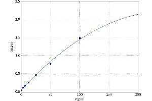 Pregnancy Specific beta-1-Glycoprotein 1 (PSG1) ELISA Kit