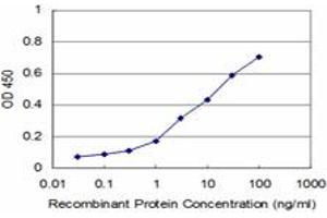Detection limit for recombinant GST tagged UBTF is approximately 1ng/ml as a capture antibody. (UBTF Antikörper  (AA 551-650))