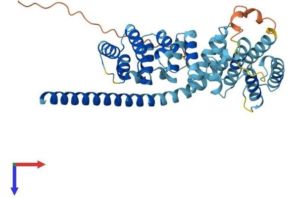 MRPS27 Protein (AA 1-414) (His tag)
