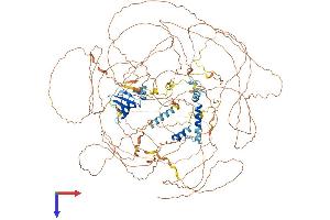 Ataxin 2 Protein (ATXN2) (AA 1-1285) (His tag)