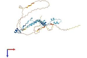 PINX1 Protein (AA 1-328) (His tag)
