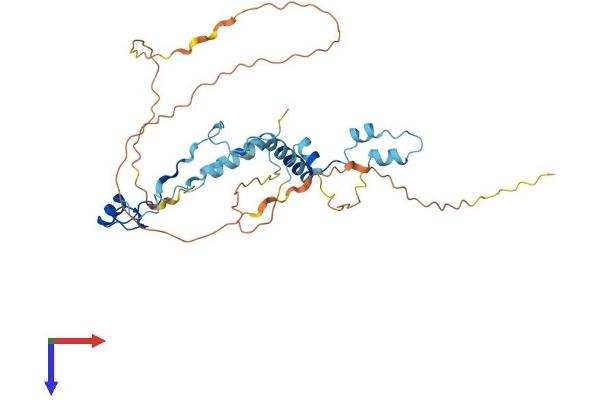 PINX1 Protein (AA 1-328) (His tag)
