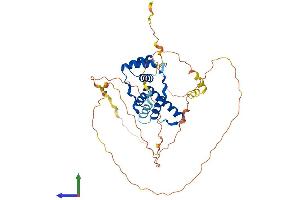 AlphaFold protein structure predicition of Human Recombinant DUX4L6 Protein, UniprotID P0CJ89