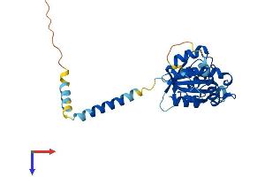 SRPRB Protein (AA 1-269) (His tag)