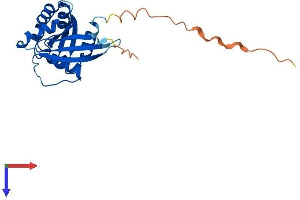 RAB6B Protein (AA 1-208) (His tag)