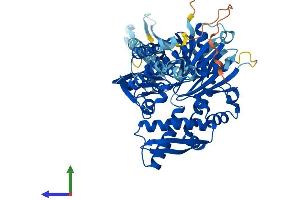 Protein Structure (PS) image for Heat Shock 70kDa Protein 2 (HSPA2) (AA 1-639) protein (His tag) (ABIN7554117)