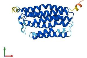 Protein Structure (PS) image for Monocyte To Macrophage Differentiation-Associated (MMD) (AA 1-238) protein (His tag) (ABIN7550599)