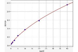 Glutathione S-Transferase alpha 1 (GSTA1) ELISA Kit