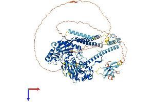 AlphaFold protein structure predicition of Mouse Recombinant Morc2b Protein, UniprotID Q8C5W4