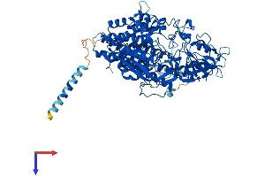 NAALADL1 Protein (AA 1-745) (His tag)