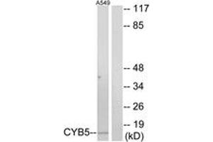 Western Blotting (WB) image for anti-Cytochrome B5 Type A (Microsomal) (CYB5A) (AA 61-110) antibody (ABIN2889983) (CYB5A Antikörper  (AA 61-110))