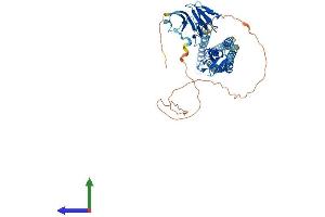 Protein Structure (PS) image for Ring Finger Protein 8 (RNF8) (AA 1-488) protein (His tag) (ABIN7564723)