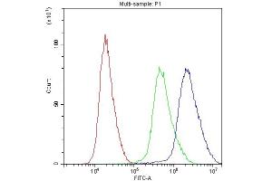 4. (ADO Antikörper  (AA 49-261))