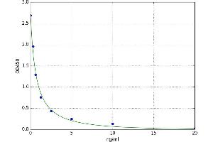 MT-RNR2-Like 6 (MTRNR2L6) ELISA Kit