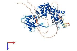 MUTYH Protein (AA 1-546) (His tag)