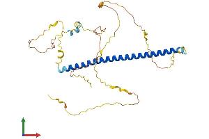 Protein Structure (PS) image for FOS-Like Antigen 2 (FOSL2) (AA 1-326) protein (His tag) (ABIN7547826)