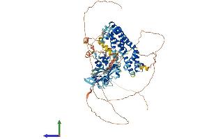 Protein Structure (PS) image for Ras and Rab Interactor 1 (RIN1) (AA 1-783) protein (His tag) (ABIN7555216)