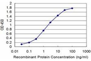 Detection limit for recombinant GST tagged ATP7B is approximately 0. (ATP7B Antikörper  (AA 1372-1465))