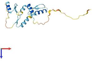 ZNF576 Protein (AA 1-170) (His tag)