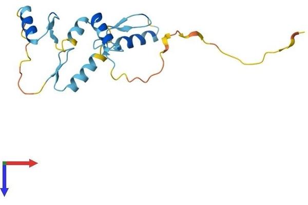 ZNF576 Protein (AA 1-170) (His tag)