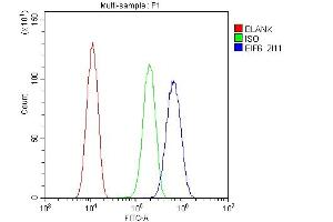 Flow Cytometry analysis of U20S cells using anti-EIF6 antibody (ABIN6719594). (EIF6 Antikörper  (AA 66-210))