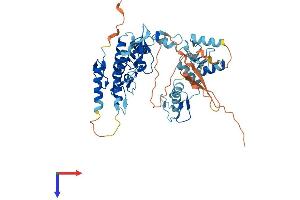HINFP Protein (AA 1-503) (His tag)