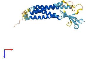CACNG6 Protein (AA 1-260) (His tag)