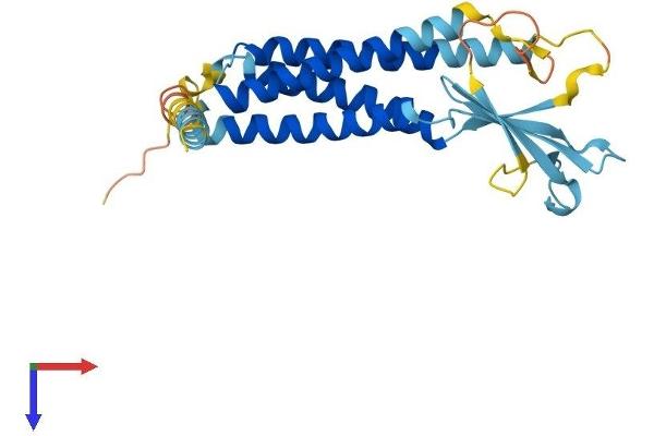 CACNG6 Protein (AA 1-260) (His tag)