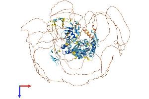 NEDD4 Protein (AA 1-1319) (His tag)